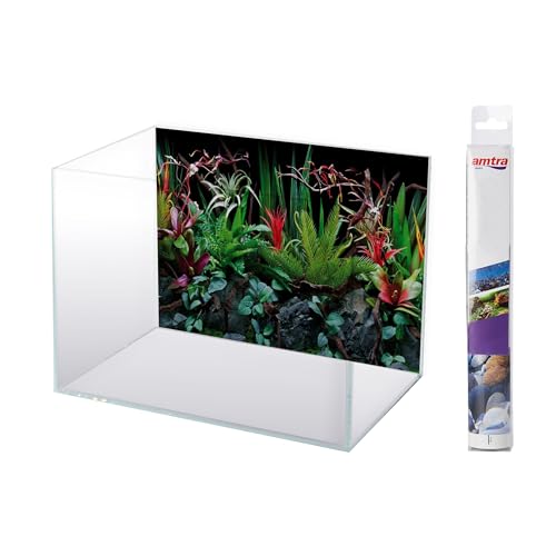 Wave A8011578 Fotorück Flora, Doppelseitig im Blister, 30 x 60 cm Wave A8011578 Fotorück Flora, Doppelseitig im Blister, 30 x 60 cm von Amtra