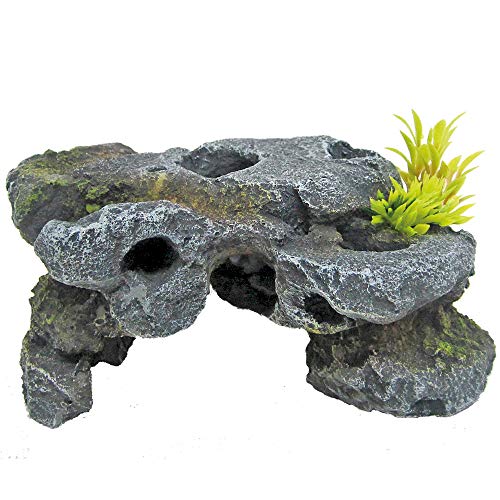 Wave A8011682 Japan Felsen 1 Wave A8011682 Japan Felsen 1 von Amtra