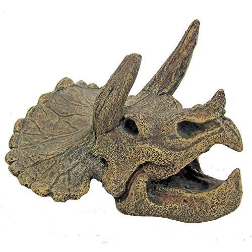 Wave A8011754 Triceratops Schädel von Amtra