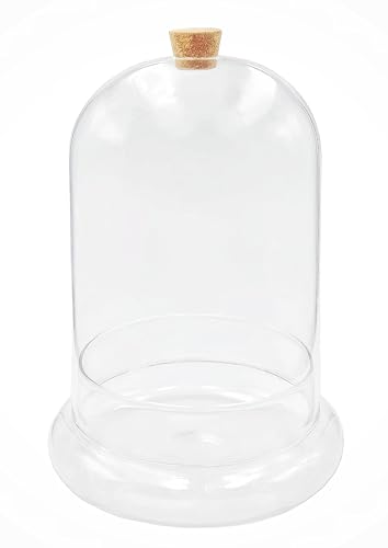 WAVY STUDIO Glas-Terrarium mit Öffnung für Luftstrom und Korkverschluss, Glaskuppel, 25,4 cm, groß, mundgeblasen von Wavy Studio