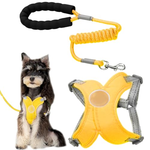 Hundegeschirr für kleine Hunde, verstellbares Haustiergeschirr, reflektierendes Design, X-Rahmen, Gehzubehör mit Seil, für Outdoor, Wandern, Park, Joggen, Roadtrip, Camping, Training Hundegeschirr für kleine Hunde, verstellbares Haustiergeschirr, reflektierendes Design, X-Rahmen, Gehzubehör mit Seil, für Outdoor, Wandern, Park, Joggen, Roadtrip, Camping, Training von Wcybym
