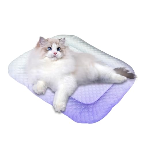 Pet Ice Pad, Hundekühlmatte, PET -Eisseide -Schlafpad, Mehrzweckgebrauch, einfach zu reinigen und zu pflegen, 40x30x6 cm/15.7x11.8x2,4 Zoll für Käfigbodensofa Innenraum Haus im Freien im Freien Pet Ice Pad, Hundekühlmatte, PET -Eisseide -Schlafpad, Mehrzweckgebrauch, einfach zu reinigen und zu pflegen, 40x30x6 cm/15.7x11.8x2,4 Zoll für Käfigbodensofa Innenraum Haus im Freien im Freien von Wcybym
