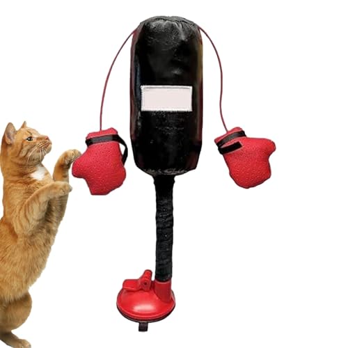 Wcybym Kätzchen-Boxspielzeug – lustige Aktivität Boxsack für Katzen – Einzigartige Katze interaktives Spielzeug Boxsack für Haustiere, Katze, Kätzchen, Hund, Welpe Wcybym Kätzchen-Boxspielzeug – lustige Aktivität Boxsack für Katzen – Einzigartige Katze interaktives Spielzeug Boxsack für Haustiere, Katze, Kätzchen, Hund, Welpe von Wcybym