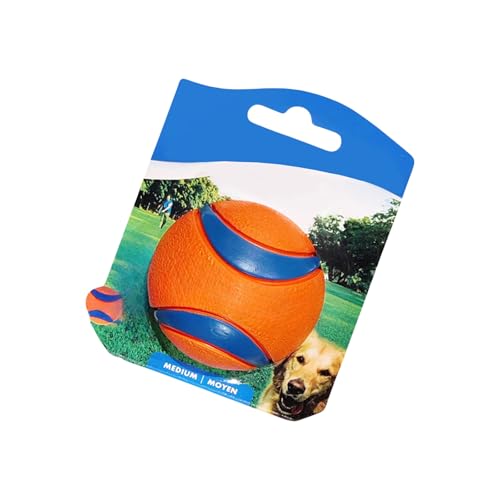 Bouncy Pet Zähne Kauen Spielzeug Mit Strukturierten Oberflächen Für Die Entfernung Von Tartaren Und Ausholen Freien Für Wasser Abruf Freien von Wdbild