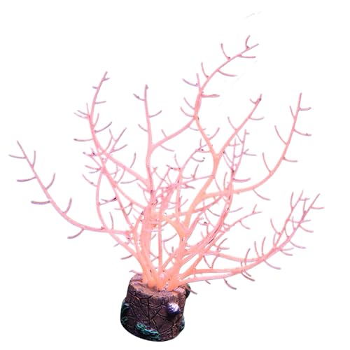 Wdbild Künstliche Korallen Wasserpflanze Aquarium Pflanzen Fischtanks Ornamente Dekorationen Zum Dekorieren Von Fischtanks Aquariumschmuck Wdbild Künstliche Korallen Wasserpflanze Aquarium Pflanzen Fischtanks Ornamente Dekorationen Zum Dekorieren Von Fischtanks Aquariumschmuck von Wdbild