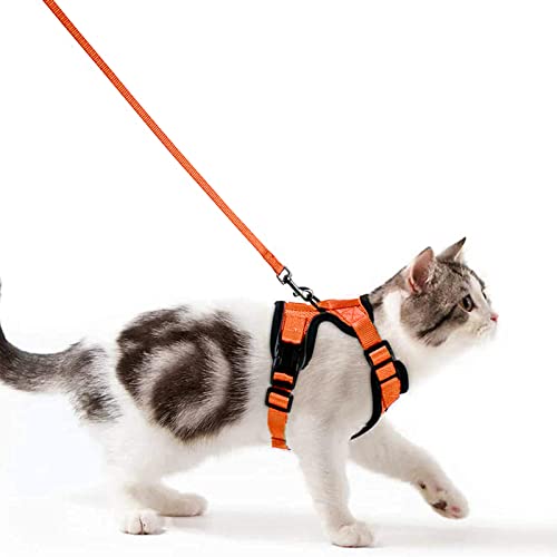 Katzengeschirr mit Leine Ausbruchsicher Katzenleine Set Verstellbar weich Kätzchenweste mit Reflektierenden Streifen Brustgeschirr für kleine Kitten (Orange, XS) von Wdmiya