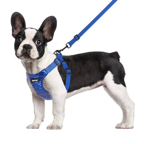 Wdmiya Hundegeschirr Kleine Hunde, Verstellbar Hundegeschirr mit Leine, Weich Gepolstert Hundegeschirr Mittelgroße, Atmungsaktiv Brustgeschirr für Welpen (XL, Blau) von Wdmiya