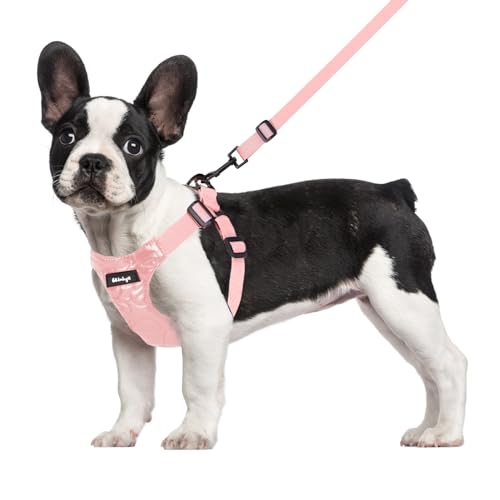 Wdmiya Hundegeschirr Kleine Hunde, Verstellbar Hundegeschirr mit Leine, Weich Gepolstert Hundegeschirr Mittelgroße, Atmungsaktiv Brustgeschirr für Welpen (XL, Rosa) von Wdmiya