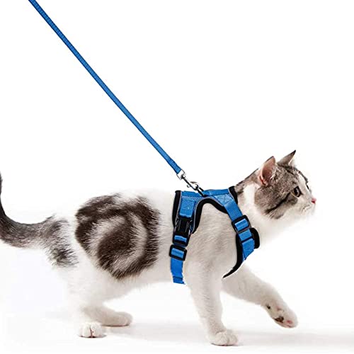 Katzengeschirr mit Leine Softgeschirr für Katze kleine Kitten Brustgeschirr Cat Harness Ausbruchsicher Katzenleine Set Verstellbar weich Kätzchenweste mit Reflektierenden（Blau，XS） von Wdmiya