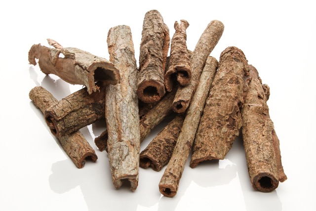 WeDiGa Seemandelbaumrinde mind. 50 Gramm von WeDiGa