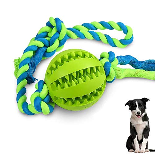 WeTest Interaktives Hundespielzeug zum Kauen, reinigt die Zähne, auf Baumwollseil, für kleine, mittelgroße Hunde (grün) (LJ-ZLK-112802) von WeTest