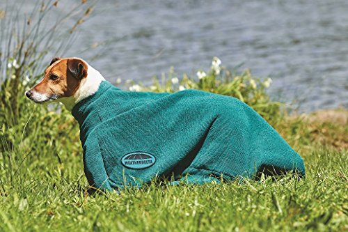 Weatherbeeta Dry-Dog Bag Dog Jacket XX Small Hunter Green von Weatherbeeta