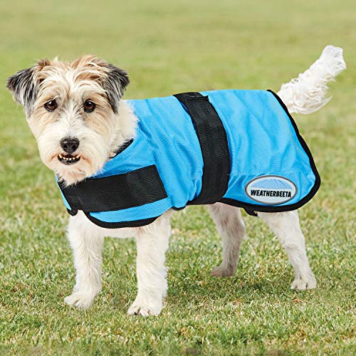 Weatherbeeta Therapy Tec Cooling Dog Jacket 35cm Blue von Weatherbeeta