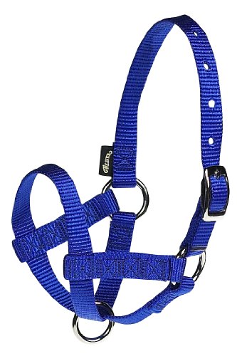 Weaver HLTR NYL Alpaca 5/8IN LG BL von Weaver Leather