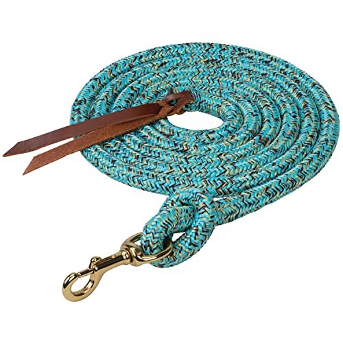 Weaver Leather Poly Cowboy Leine mit Druckknopf, 1,6 cm x 2,4 m, Türkis/Braun/Hellbraun Weaver Leather Poly Cowboy Leine mit Druckknopf, 1,6 cm x 2,4 m, Türkis/Braun/Hellbraun von Weaver Leather