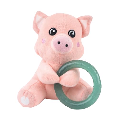 Webbox Pinky das Schwein – Plüsch-Hundespielzeug mit Quietschring für Welpen Webbox Pinky das Schwein – Plüsch-Hundespielzeug mit Quietschring für Welpen von Webbox