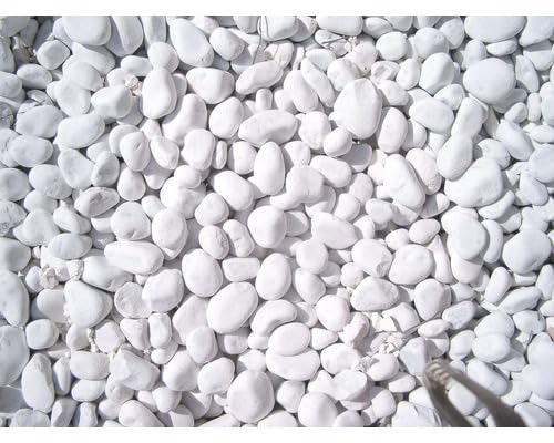 Weco Naturstein Marmorkies Weiß 20-40mm 25 Kg von Handel & Logistik Rosenburg Weco Naturstein Marmorkies Weiß 20-40mm 25 Kg von Handel & Logistik Rosenburg von Weco Naturstein
