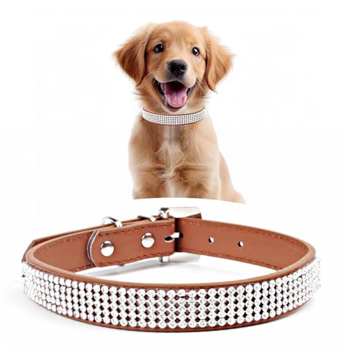 WedDecor Hundehalsband mit Strasssteinen, Sicherheitsverschluss, Schnalle, weiches PU-Leder, verstellbares Haustierzubehör, leicht, Schutzgürtel für Welpen und Katzen, Beige, Größe L WedDecor Hundehalsband mit Strasssteinen, Sicherheitsverschluss, Schnalle, weiches PU-Leder, verstellbares Haustierzubehör, leicht, Schutzgürtel für Welpen und Katzen, Beige, Größe L von WedDecor