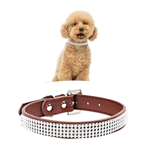 WedDecor Hundehalsband mit Strasssteinen, Sicherheitsverschluss, Schnalle, weiches PU-Leder, verstellbares Haustierzubehör, leicht, Schutzgürtel für Welpen und Katzen, Braun, Größe M WedDecor Hundehalsband mit Strasssteinen, Sicherheitsverschluss, Schnalle, weiches PU-Leder, verstellbares Haustierzubehör, leicht, Schutzgürtel für Welpen und Katzen, Braun, Größe M von WedDecor