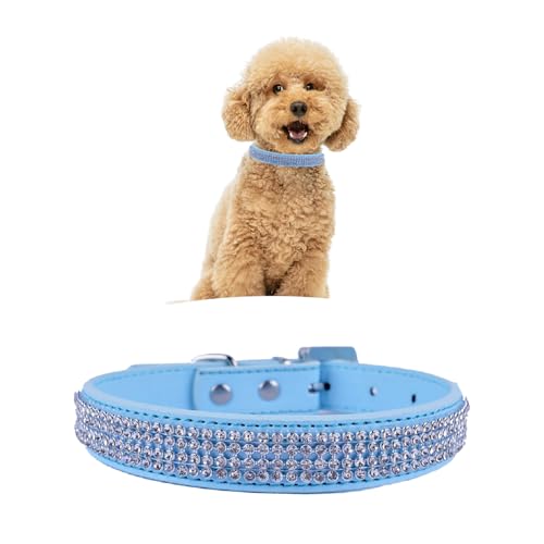 WedDecor Hundehalsband mit Strasssteinen, Sicherheitsverschluss, Schnalle, weiches PU-Leder, verstellbares Haustierzubehör, leicht, Schutzgürtel für Welpen und Katzen, Hellblau, Größe M WedDecor Hundehalsband mit Strasssteinen, Sicherheitsverschluss, Schnalle, weiches PU-Leder, verstellbares Haustierzubehör, leicht, Schutzgürtel für Welpen und Katzen, Hellblau, Größe M von WedDecor