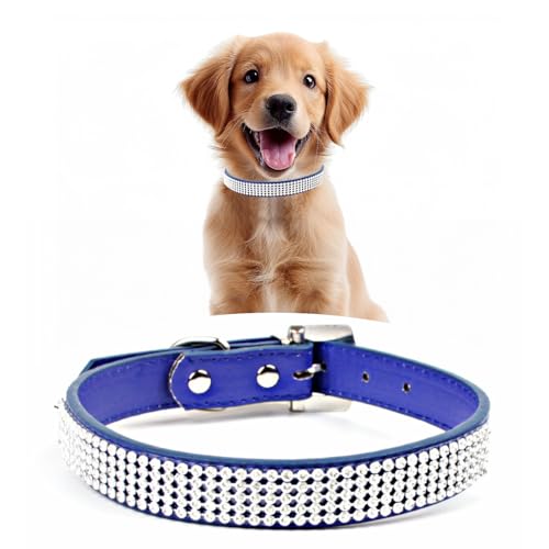 WedDecor Hundehalsband mit Strasssteinen, Sicherheitsverschluss, Schnalle, weiches PU-Leder, verstellbares Haustierzubehör, leicht, Schutzgürtel für Welpen und Katzen, Königsblau, Größe L WedDecor Hundehalsband mit Strasssteinen, Sicherheitsverschluss, Schnalle, weiches PU-Leder, verstellbares Haustierzubehör, leicht, Schutzgürtel für Welpen und Katzen, Königsblau, Größe L von WedDecor