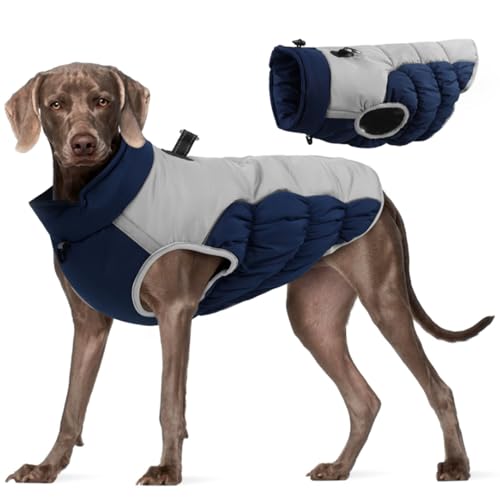 Hundemäntel Hunde Wintermantel Wasserdicht Warm Hundemantel Mit Geschirr Reflektierende Hundejacke Mit Reißverschluss Für Kaltes Wetter Gemütlicher Mit Baumwolle Gefütterter Welpenmantel 4XL von Wedhapy