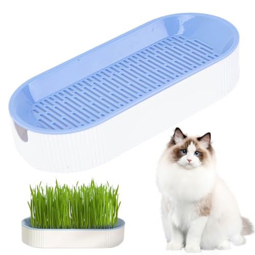 Katzengras -Pflanzer zwei Schicht abnehmbarer Hydroponic Cat Gras Pflanzer S. 8.3x3.6x1.8in Haus Cattery Cat Grass Anbau Katze Vorräte, keine Samen Katzengraskatine Katzenbehälter Katze Gras -Grasher von Wedhapy