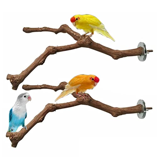 Papageienstange Papageienständer Sitzstange Für Vögel Stehender Traubenstab Natürliche Stehende Zweige Für Vogelkäfig Spielzeug 2 Stück von Wedhapy