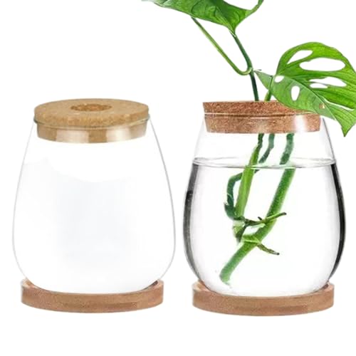 Pflanzen-Terrarium-Glas-Terrarien für Pflanzen Pflanzenzubehör Innenraum 2pcs Transparent Deckel Plant Propagation Station mit Tabletthydroponik-DIY-Ausbreitung Jars für Home Office-Desktop, Drop-för von Wedhapy