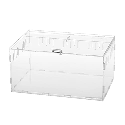 Reptilienbecken Reptilien Terrarium Acryl Aquarium Kletter Haustier Terrarium Reptilien Zuchtbox Acryl Futterbox Krabbel Haustier Spinnen Zuchtbox Reptilienbecken Reptilien Terrarium Acryl Aquarium Kletter Haustier Terrarium Reptilien Zuchtbox Acryl Futterbox Krabbel Haustier Spinnen Zuchtbox von Wedhapy