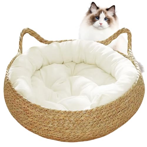 Wedhapy Katzenbett, Katzencouch, Katzenbetten und Möbel, Katzenbetten für Hauskatzen, 38,1 x 12,7 cm, 2-in-1, gewebtes Katzenkörbchen, Bett mit weichem Kissen, kratzfestes Kätzchenbett, gemütlicher Wedhapy Katzenbett, Katzencouch, Katzenbetten und Möbel, Katzenbetten für Hauskatzen, 38,1 x 12,7 cm, 2-in-1, gewebtes Katzenkörbchen, Bett mit weichem Kissen, kratzfestes Kätzchenbett, gemütlicher von Wedhapy