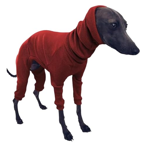 Wedhapy Windhundpullover für Hunde, Hundesprunger Haustierpullover Baumwoll-Windhund-Pyjamas vierbeinige Windhundkleidung Kapuze Whippet Pyjamas Dehnbar warmes Hundebel von Wedhapy