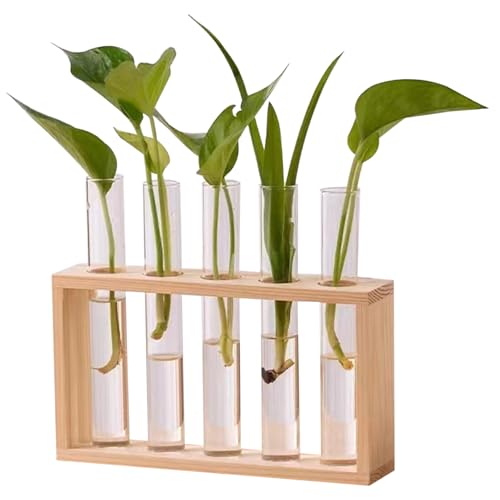 Pflanzenvermehrung Station 5 Glaspflanzer mit Holzstillstandstöckchen für Pflanzen Desktop/Wandhänge -Pflanzen -Terrarium zur Vermehrung von Hydroponikpflanzen Typ 2, Terrarium von Weduspaty
