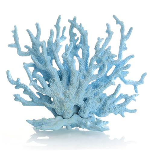 Weduspaty Korallendekor, Aquariumpflanzen, Simulation Anti-Fading Fake Coral, himmelblau Plastikfischtank für Haushaltsaquariumlandschaften Weduspaty Korallendekor, Aquariumpflanzen, Simulation Anti-Fading Fake Coral, himmelblau Plastikfischtank für Haushaltsaquariumlandschaften von Weduspaty
