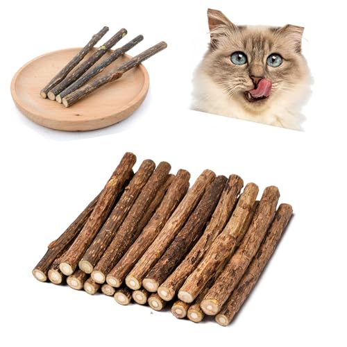 Weenwill Katzenminze Sticks für Katzen,30 Stück Katzenminze Sticks Katzen Zahnpflege Zahnbürste Katze Kausticks Spielzeug Katzen Kauhölzer für Zahnpflege & Gegen Mundgeruch Schleifen Zähnen von Weenwill