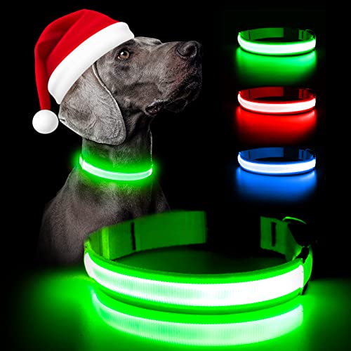 Weesiber LED-Hundehalsband, wiederaufladbar, verstellbar, reflektierend, leuchtend, superhell, blinkend, für Nachtsicherheit, mittelgroße und große Hunde (Mittelgroß, Grün) von Weesiber