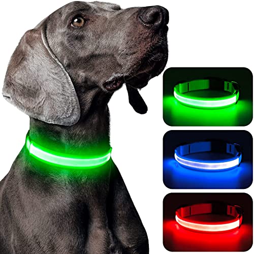 Weesiber LED-Hundehalsband – Leuchtende Hundehalsbänder – Verstellbares Hundehalsband – Wiederaufladbares Hunde-Campinghalsband – Leuchtende Hundelichter für nächtliche Spaziergänge (Groß, Grün) von Weesiber