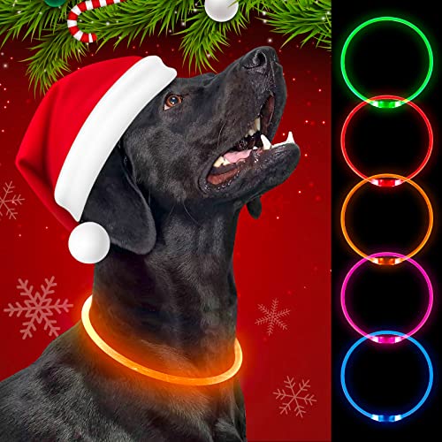 Weesiber Leuchthalsband Hund - USB wiederaufladbares leuchtendes Hundehalsband, TPU leuchtende Hundehalsbänder für kleine mittelgroße Hunde (Orange) von Weesiber