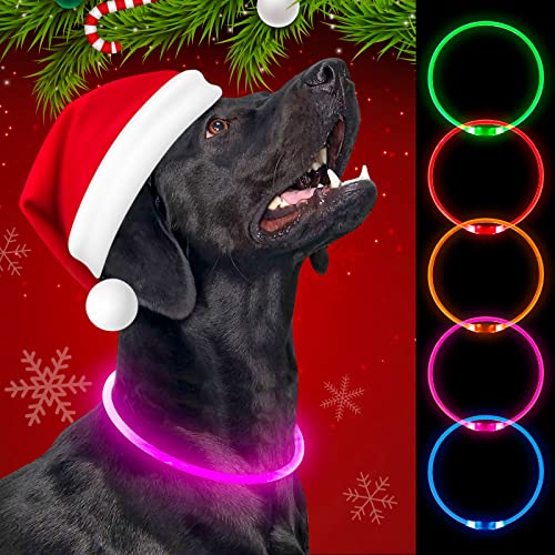 Weesiber LED Leuchthalsband für Hunde - USB wiederaufladbares LED Hundehalsband, Leuchthalsband Hund, TPU Leuchtende Hundehalsbänder für Kleine Mittlere Große Hunde (Rosa) von Weesiber