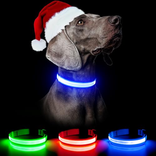 Weesiber LED Hundehalsband Wiederaufladbar – Verstellbare reflektierende Leuchtende Hundehalsbänder Super hell blinkend Haustier Hundehalsband Hohe Sichtbarkeit (Groß,Blau) von Weesiber