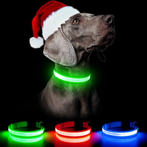 Weesiber Leuchthalsband Hund, Hundehalsband Leuchtend Aufladbar, LED Hundehalsband Wasserdichtes reflektierende LED Halsband Hundelichter für nächtliche Spaziergänge (X-Large,Grün) von Weesiber