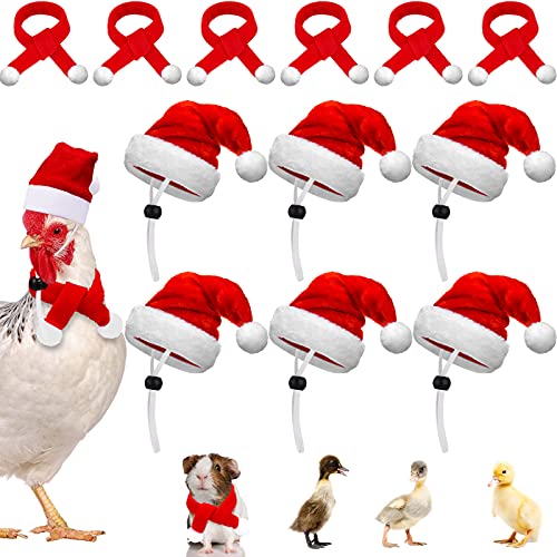 12-teiliges Weihnachts-Haustier-Hühner-Hut-Schal-Set, Mini-Schal, rot-grün, Weihnachtsmannmütze, Kleintierhut mit verstellbarem Kinnriemen für Henne Ente, Hamster, Papagei (klassischer Stil, klein) von Weewooday
