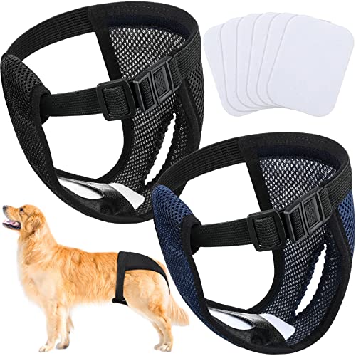 2 Pack Wiederverwendbare Hundewindeln mit 6 Hygienepad Waschbare für Hündinnen bei Monatliche Blutung Waschbare Schutzhose umweltfreundliche, Schwarz und Blau (XL) von Weewooday