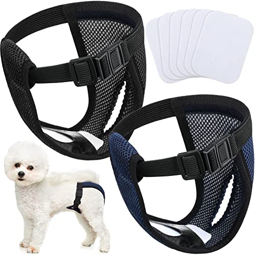 2 Pack Hündinnen Läufigkeitshose Waschbare Schutzhöschen Wiederverwendbare Hundewindeln Hundehose mit 6 Damenbinde Verstellbare Schutzhose, für Weibchen Hunde Läufigkeit Schwarz und Blau (M) 2 Pack Hündinnen Läufigkeitshose Waschbare Schutzhöschen Wiederverwendbare Hundewindeln Hundehose mit 6 Damenbinde Verstellbare Schutzhose, für Weibchen Hunde Läufigkeit Schwarz und Blau (M) von Weewooday