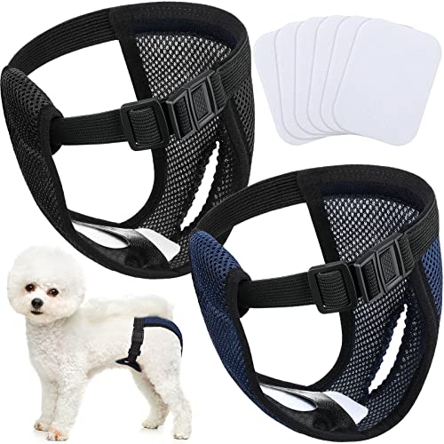 2 Pack Hündinnen Läufigkeitshose Waschbare Schutzhöschen Wiederverwendbare Hundewindeln Hundehose mit 6 Damenbinde Verstellbare Schutzhose, für Weibchen Hunde Läufigkeit Schwarz und Blau (M) von Weewooday