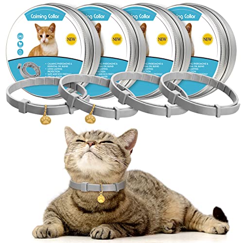 4 Stück Beruhigendes Katzenhalsband, verstellbar, Katzenhalsband, Lavendelduft, entspannendes Katzenhalsband mit 2 Anhängern, für Welpen, Katzen, reduziert Stress, Aggression, ängstliches Verhalten, 4 Stück Beruhigendes Katzenhalsband, verstellbar, Katzenhalsband, Lavendelduft, entspannendes Katzenhalsband mit 2 Anhängern, für Welpen, Katzen, reduziert Stress, Aggression, ängstliches Verhalten, von Weewooday
