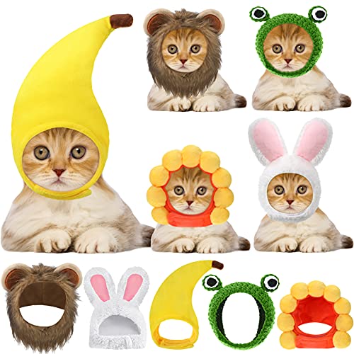 Weewooday 5 Stück Katze Hut Kostüme Süße Löwenkostüm für Katzen Hase Kaninchen Hut mit Ohren Lustige Löwenmähne Frosch Sonnenblumen Banane Mützen für Katzen Kleine Welpen Halloween Party, 5 Stile Weewooday 5 Stück Katze Hut Kostüme Süße Löwenkostüm für Katzen Hase Kaninchen Hut mit Ohren Lustige Löwenmähne Frosch Sonnenblumen Banane Mützen für Katzen Kleine Welpen Halloween Party, 5 Stile von Weewooday