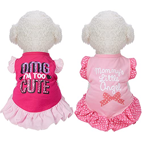 Haustier-Kleidung für kleine Hunde und Katzen (OMG und Engel, mittelgroß), 2 Stück von Weewooday