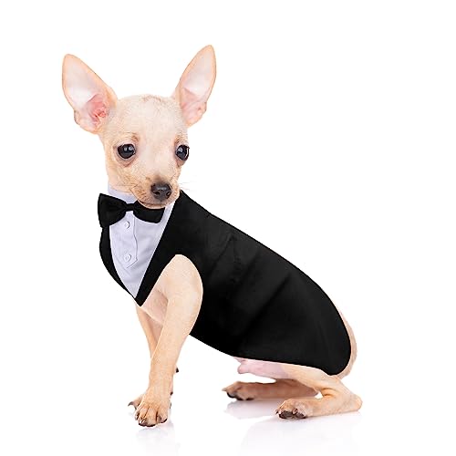 Smoking- und Bandana-Set für Hunde, formeller Smoking, Haustier, Hochzeit, Party, Anzug, Hochzeit, Fliege, Hemd für Hochzeit, Weihnachten, Geburtstag, Kostüme (niedlicher Stil, S) von Weewooday