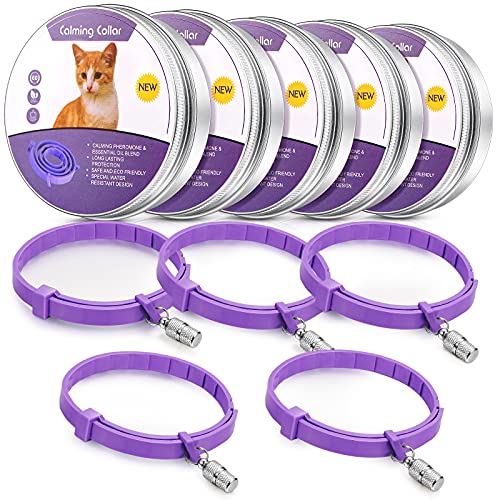 Weewooday 5 Set Beruhigungshalsband für Katzen, verstellbar, wasserdicht, beruhigende Halsbänder für Katzen, reduziert Angstgefühle, Stressabbau, Katzenhalsbänder mit 5 Haustier-ID-Anhängern (lila) von Weewooday